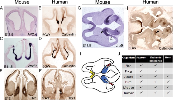 Figure 7.