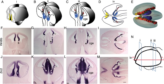 Figure 1.