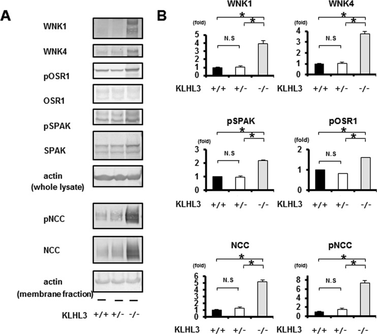 FIG 6