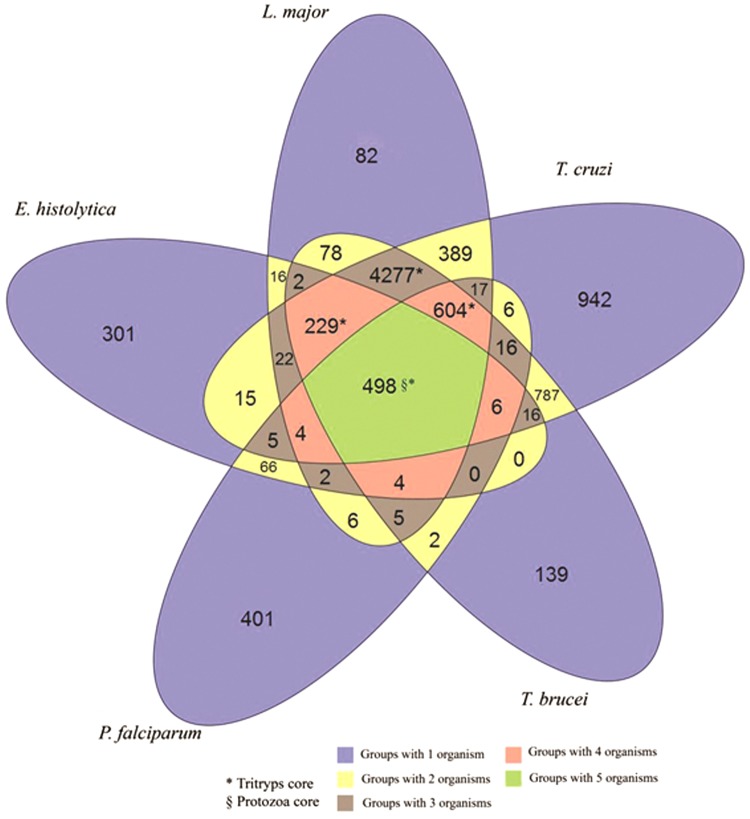 FIG. 5.