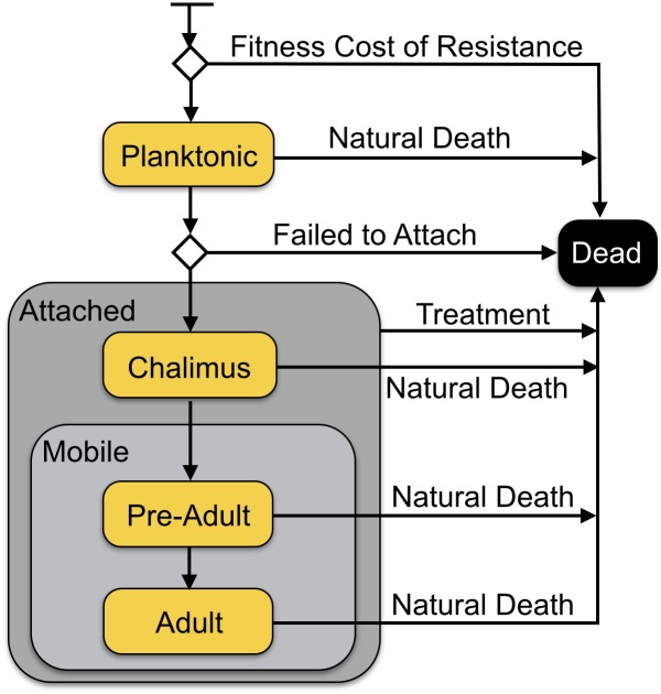 Fig 1