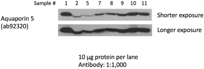 Fig 5