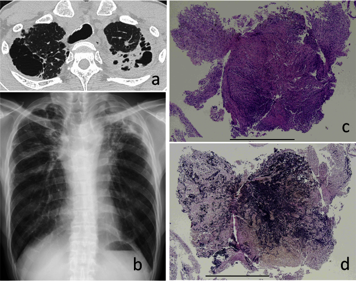 Fig. 2