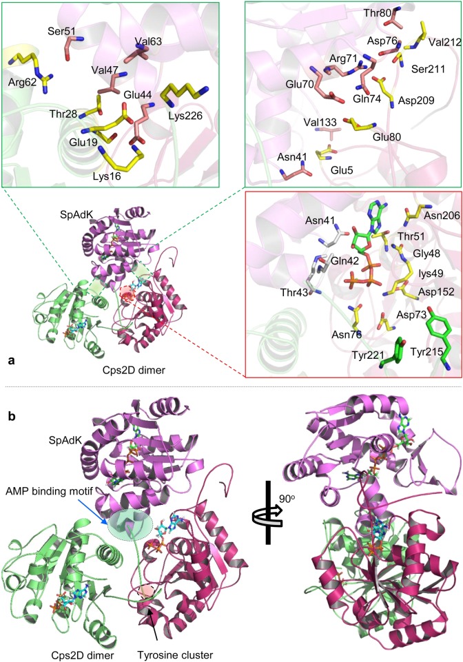 Fig. 7