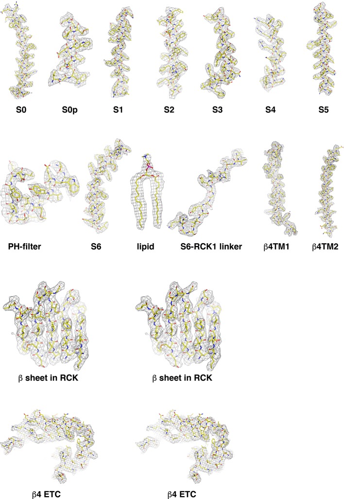 Figure 1—figure supplement 3.