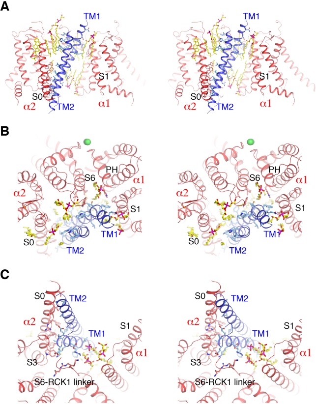 Figure 3.