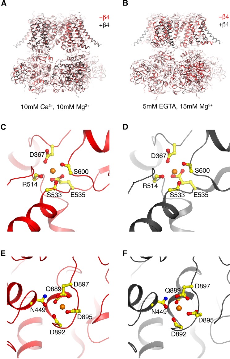 Figure 5—figure supplement 1.