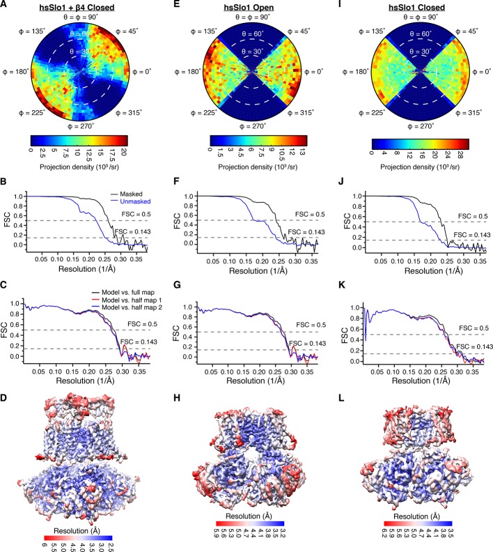 Figure 1—figure supplement 4.