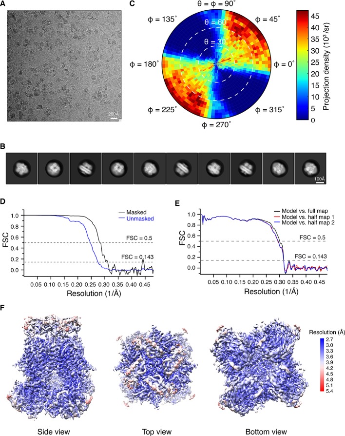 Figure 1—figure supplement 2.