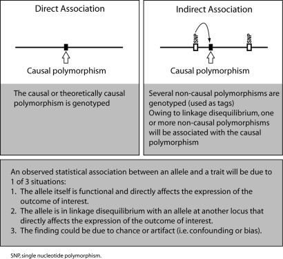 Figure 2: