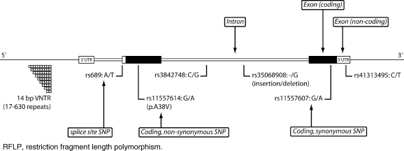 Figure 1: