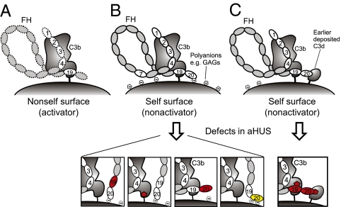 Fig. 4.