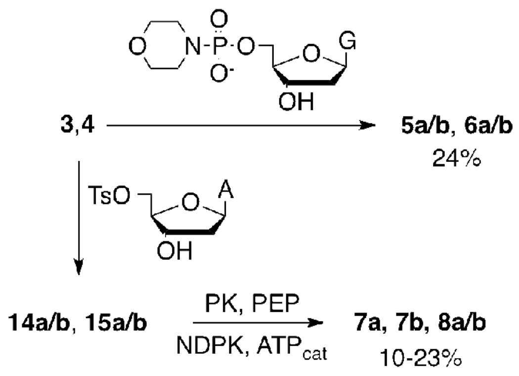 SCHEME 4