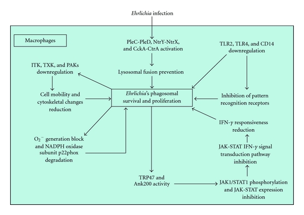 Figure 14