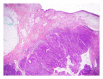 Figure 24