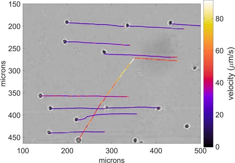 FIG. 11.