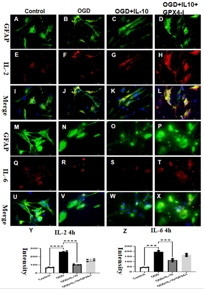 Figure 7