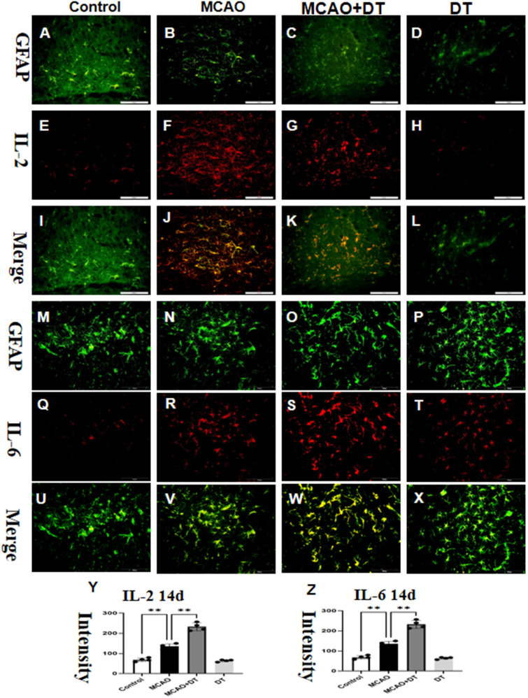 Figure 4