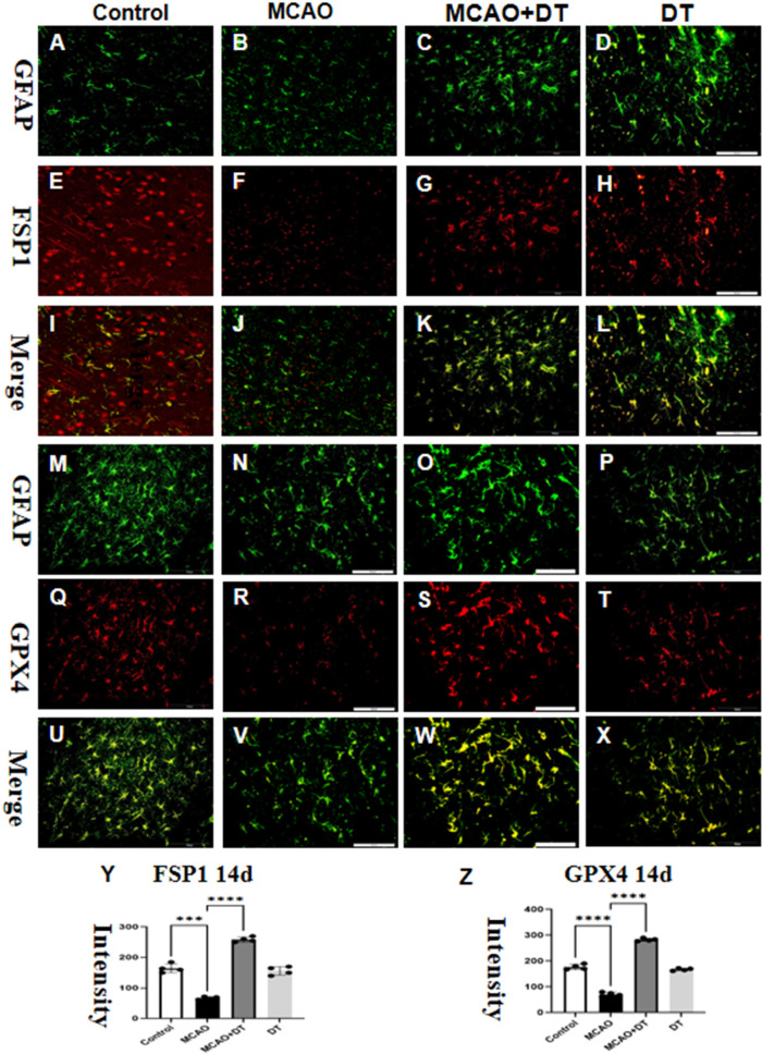 Figure 6