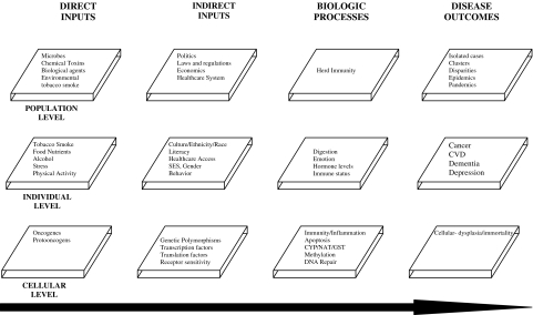 FIGURE 1