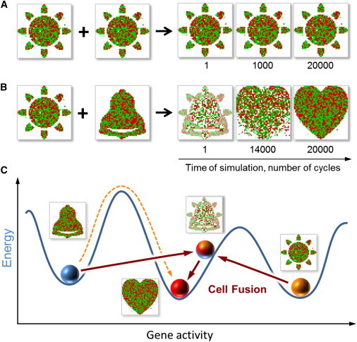 Figure 2