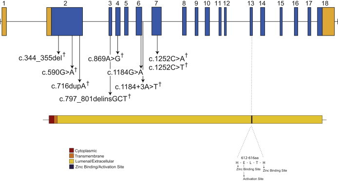 Figure 2