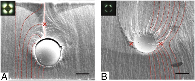 Fig. 5.