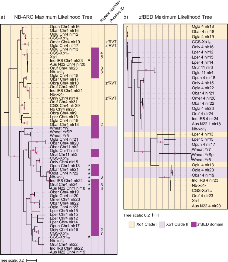 Fig 4