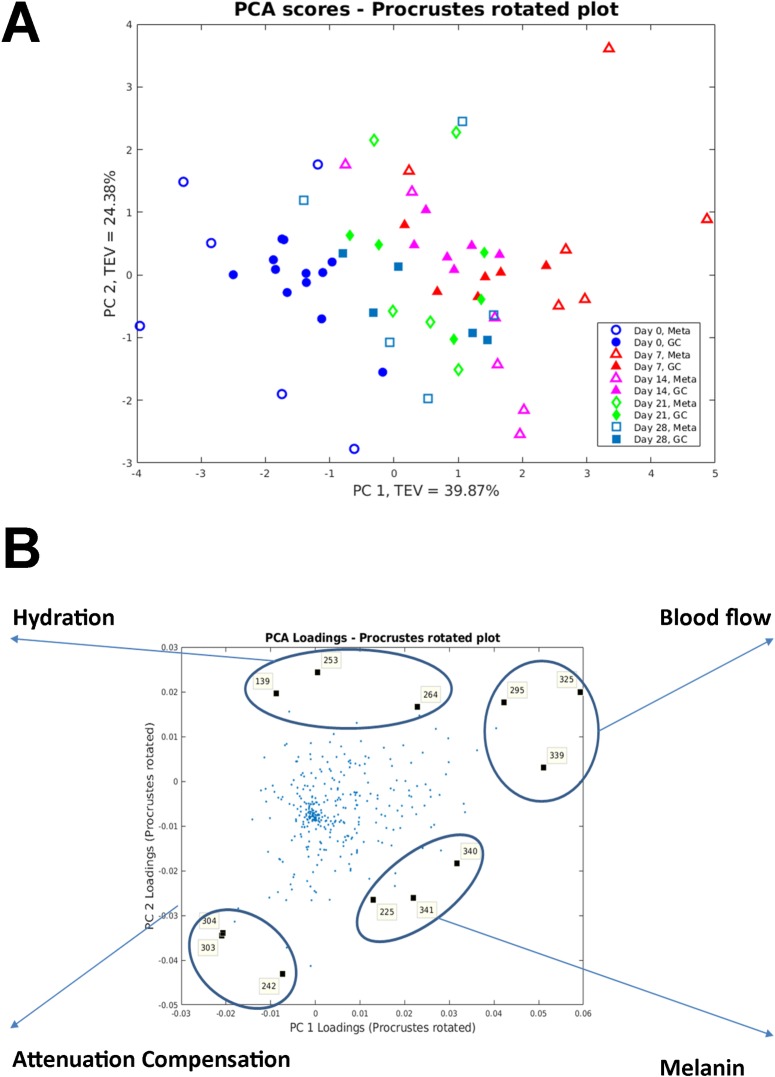 Fig 7