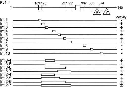 FIG. 5