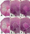 Fig. 8