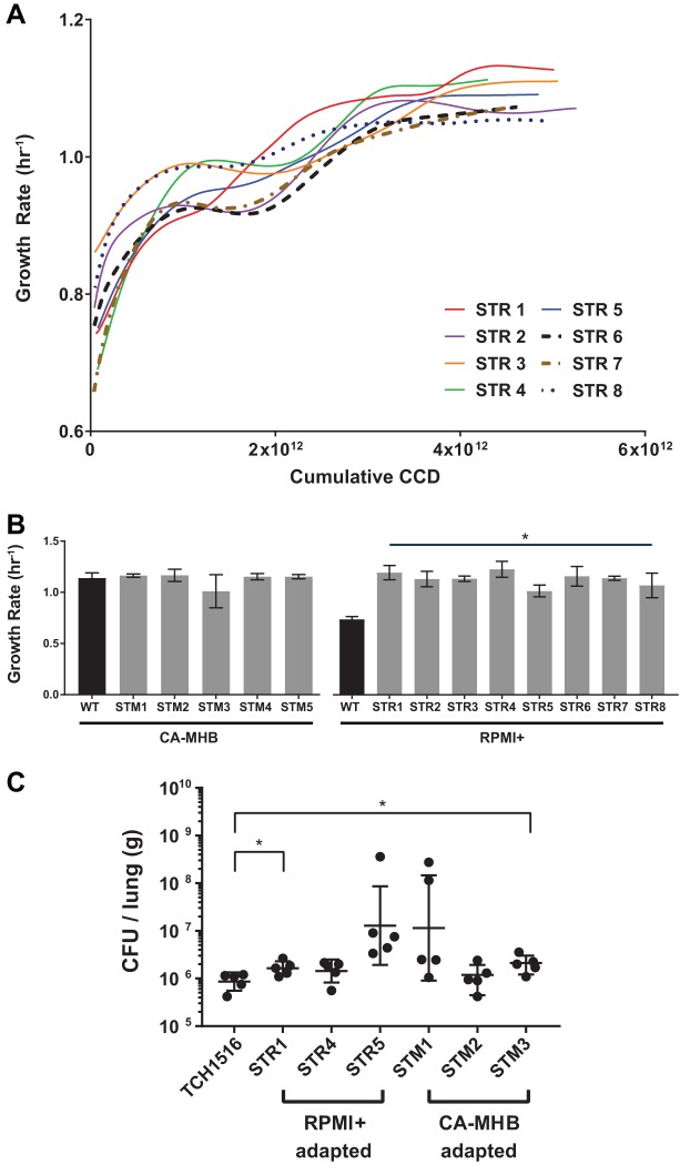 FIG 1