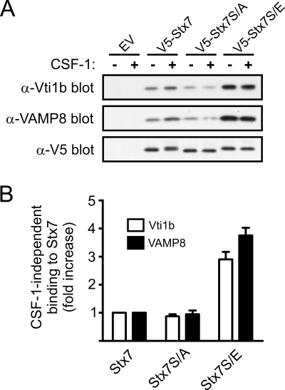 FIG. 9.