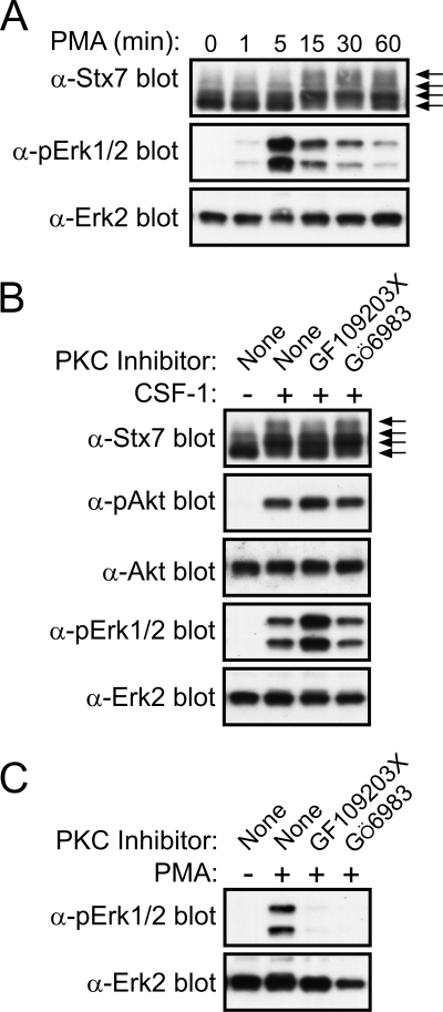 FIG. 5.