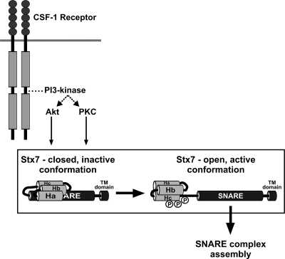 FIG. 10.