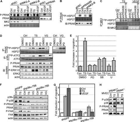 FIG 6