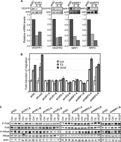 FIG 10