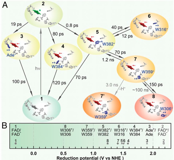 Figure 13