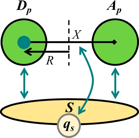 Figure 31