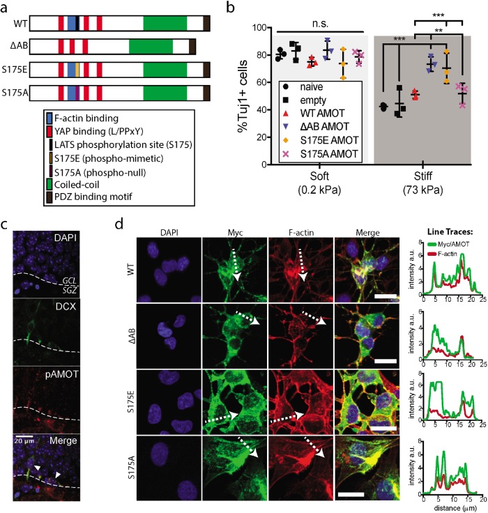 FIGURE 2: