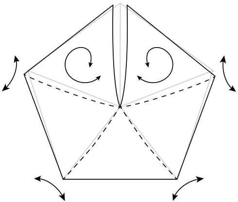 Fig. 5.