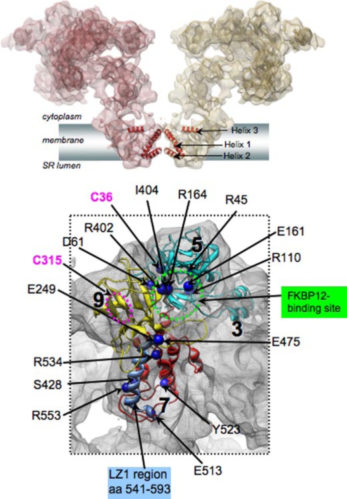 FIGURE 2.