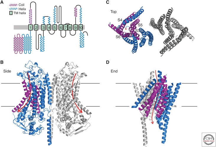 Figure 3.