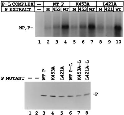 FIG. 8