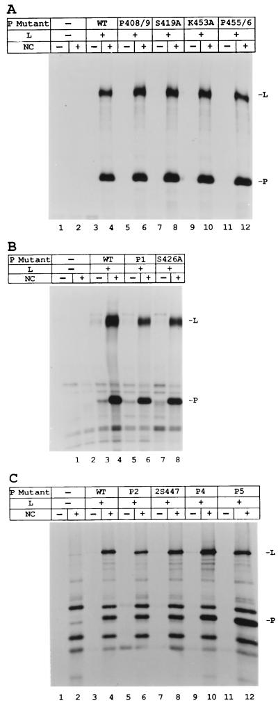 FIG. 4