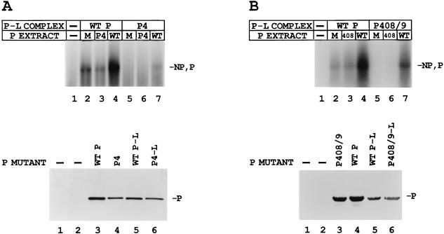 FIG. 9