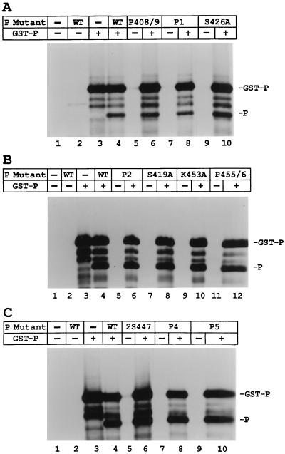 FIG. 5