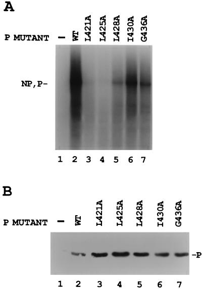 FIG. 6