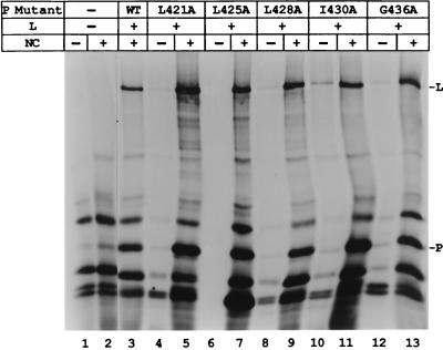 FIG. 7