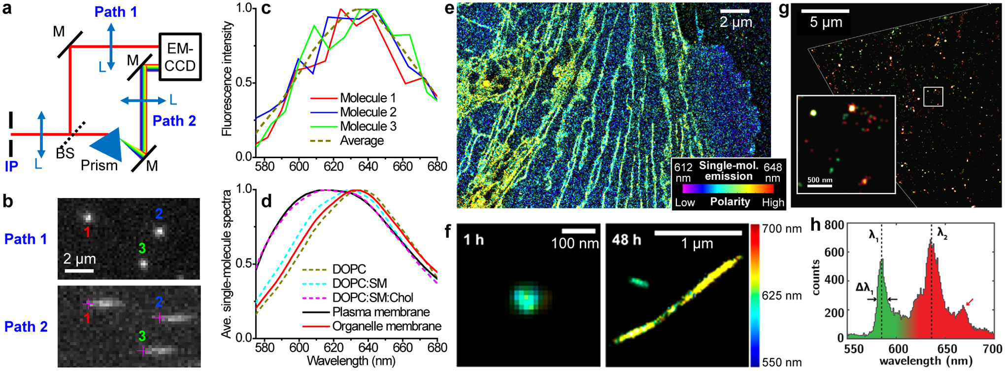 Figure 3.